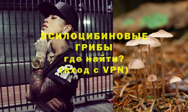 индика Алзамай