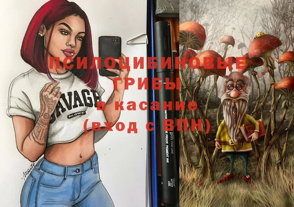 мет Алексин