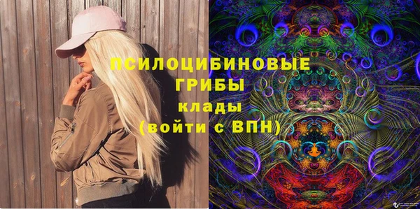 индика Алзамай