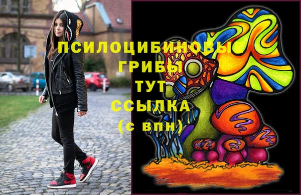 мет Алексин