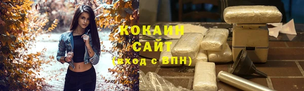 индика Алзамай