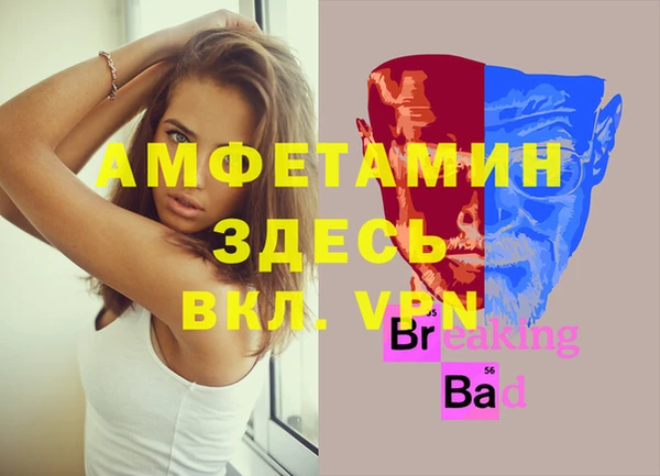 мет Алексин