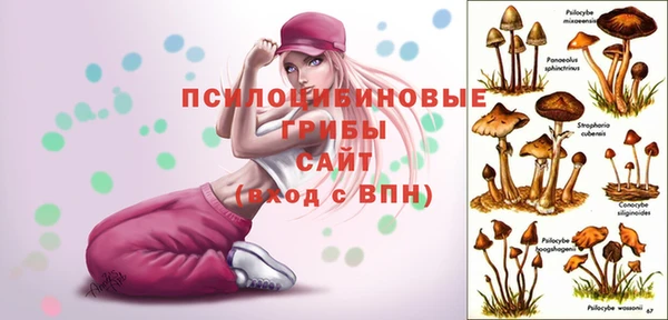 индика Алзамай