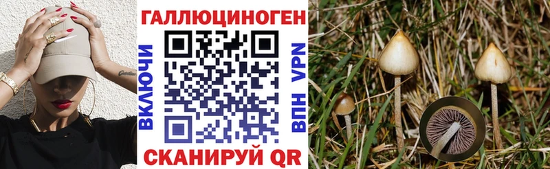 kraken рабочий сайт Звенигово Псилоцибиновые грибы ЛСД